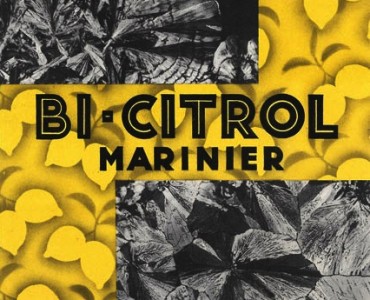 Notice Bi-Citrol Marinier