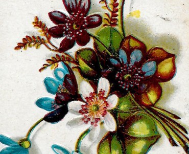 Image Louit (13)
