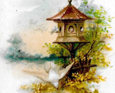 Image Louit (16)