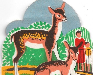 Découpis Cao