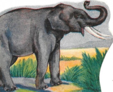 Découpis La Vache Sérieuse (05)