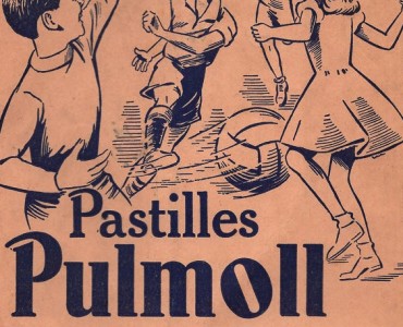 Protège-cahier Pulmoll (02)