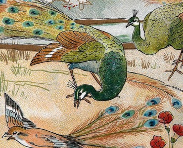 Images Au Bon Marché (47)