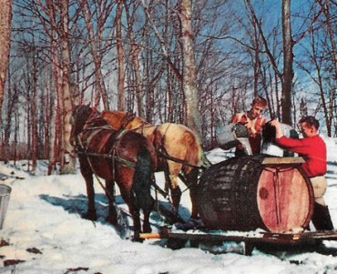 Carte Postale Trans-Canada Air Lines