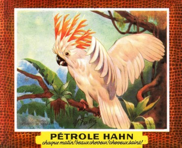 Buvards Pétrole Hahn (04)