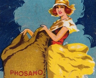 Calepin Phosamo