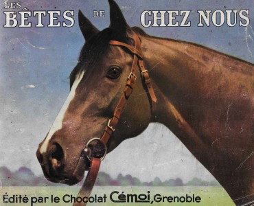 Album d'images Cémoi Les Bêtes de chez nous