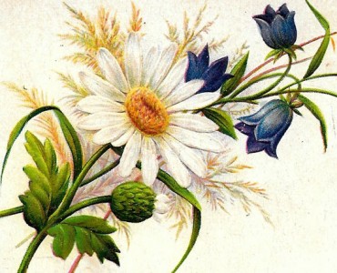 18511.jpg
