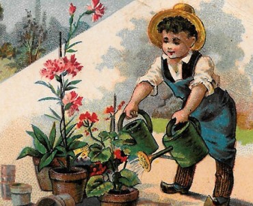 Image Poulain (179)