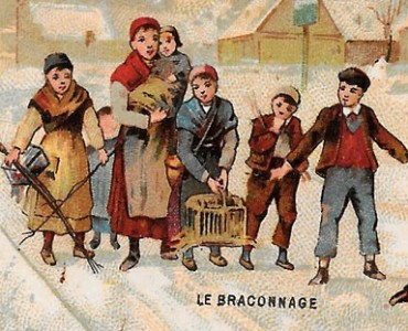 Image Poulain (180)