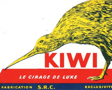 Buvard Kiwi (05)