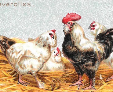 Image A la Belle Jardinière, C Bériot (51)