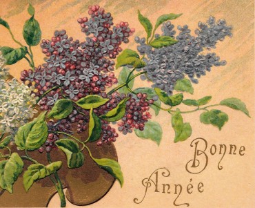 Cartes Postales A la Belle Jardinière, C Bériot (17)