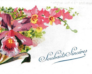 Cartes Postales A la Belle Jardinière, C Bériot (05)