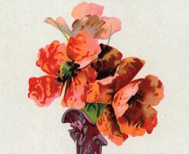 Cartes Postales A la Belle Jardinière, C Bériot (12)