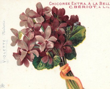 Cartes Postales A la Belle Jardinière, C Bériot (13)
