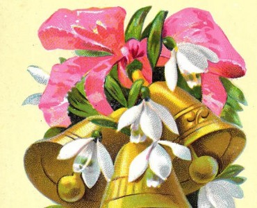 Carte Postale Chicorée des Rois, C Bériot (01)