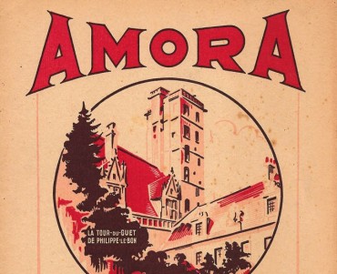 Protège-cahier Amora (04)