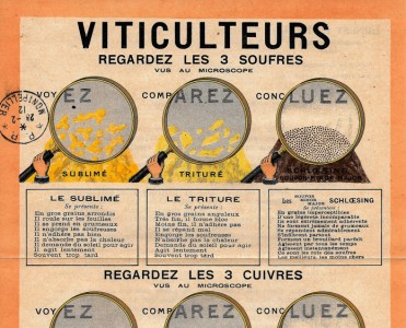 Notice Schloesing Frères