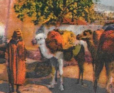 21642.jpg