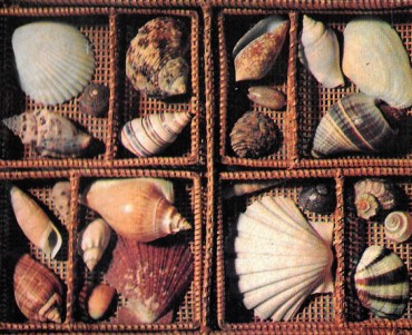 Brochure Shell