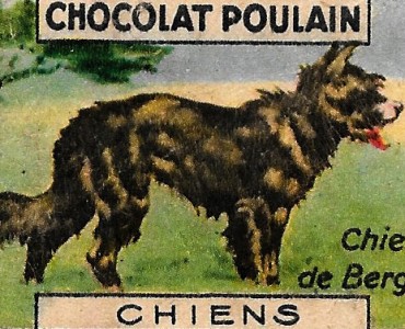 Images Poulain (187)