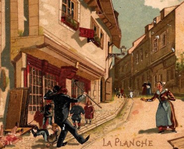 Image Chicorée A la Française (04)