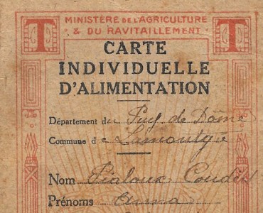 Carte d'Alimentation (01)