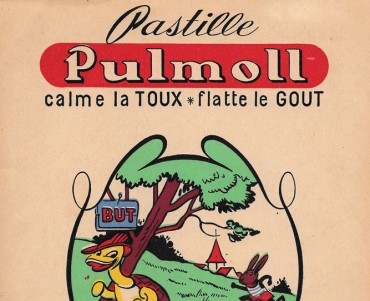 Protège-cahier Pulmoll (04)