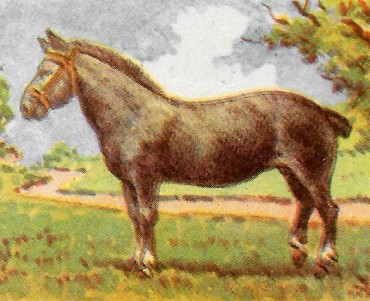 24857.jpg