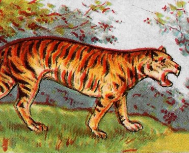 Images Pupier (24)