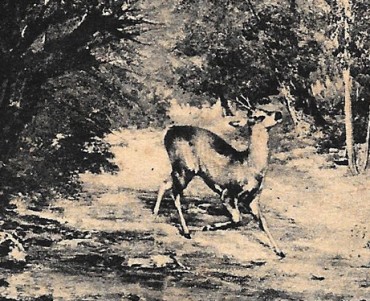 Image Phalier Douelle (04)