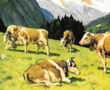 Buvards Sanal (04)