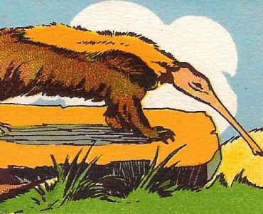 26257.jpg
