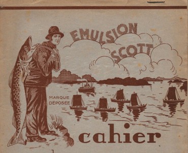 Protège-cahier Emulsion Scott
