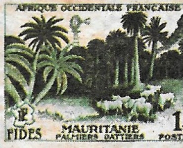 Boites d'allumettes Excella