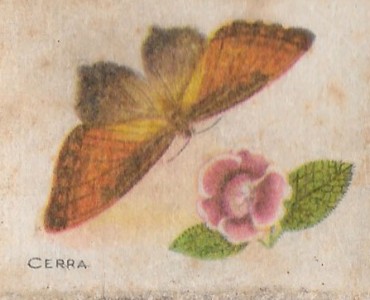 Boites d'allumettes Fosforera Espagnola (05)