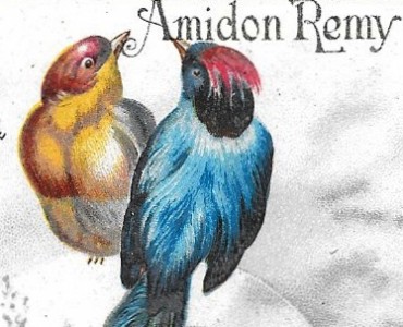 Images Amidon Rémy (03)