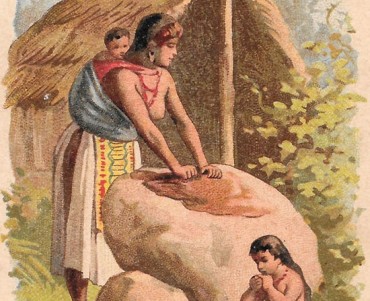 Image neutre (103)