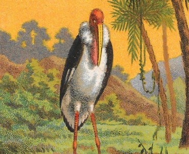 Image neutre (117)