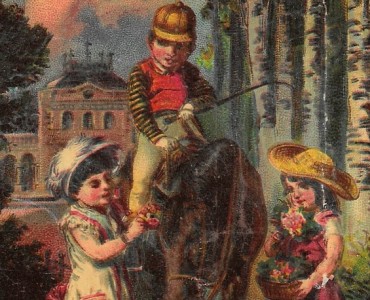 Image Chicorée A la Française (02)