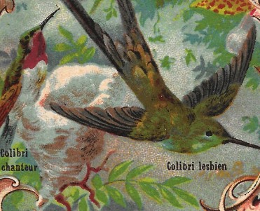 Image Librairie d'Education Nationale (07)