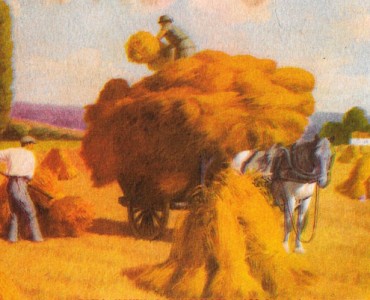 Buvard Duchesse des Flandres (02)