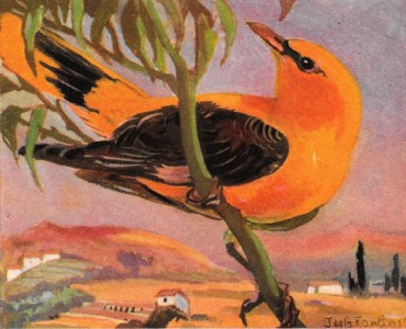 Buvards Magdeleine (15)