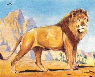 37883.jpg