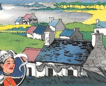 Image Edition Olivier (02)