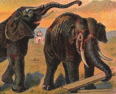 Image neutre (010)