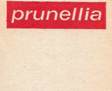 Bloc-notes Cusenier Prunellia