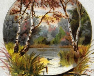 Image Louit (02)