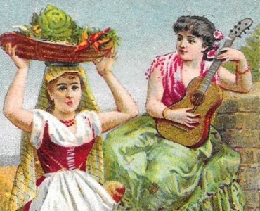Image Chicorée d'Alsace